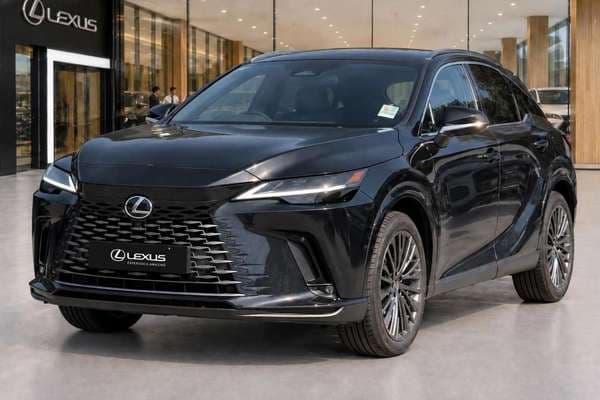 2024 Lexus RX